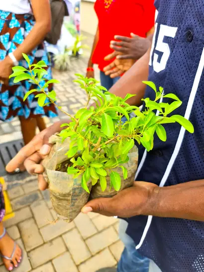 Planting Fruits, Veg & Herbs