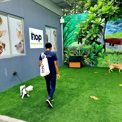 Youth Understudy & Mentorship