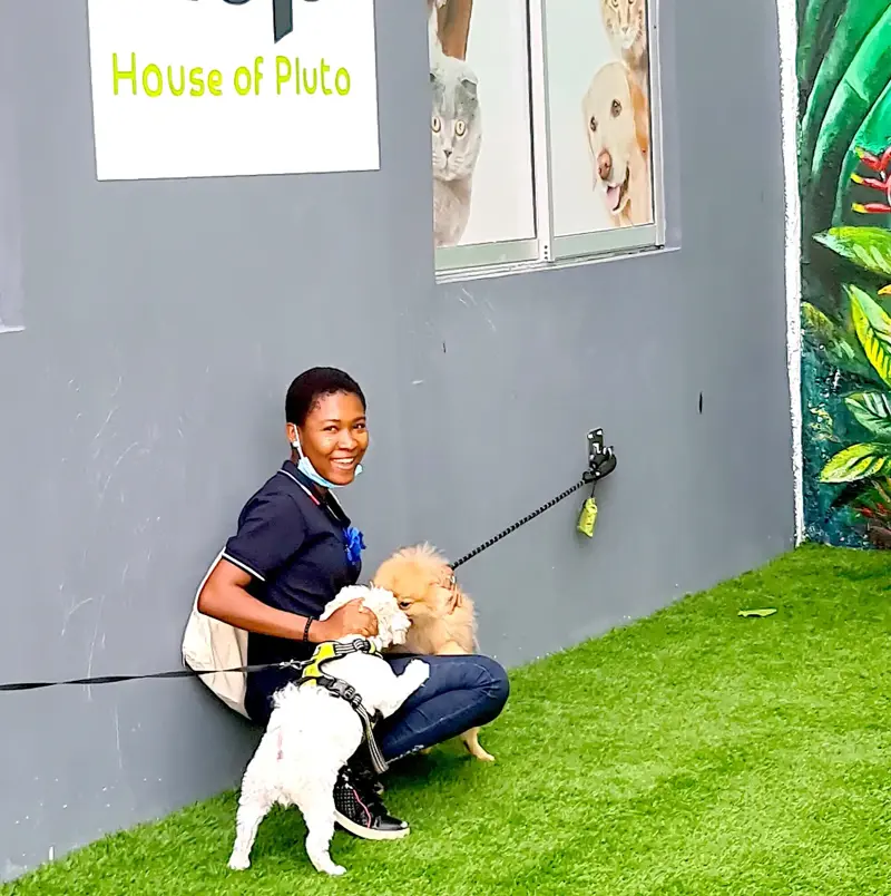 Youth Understudy Program Veterinary Nursing Uche 2